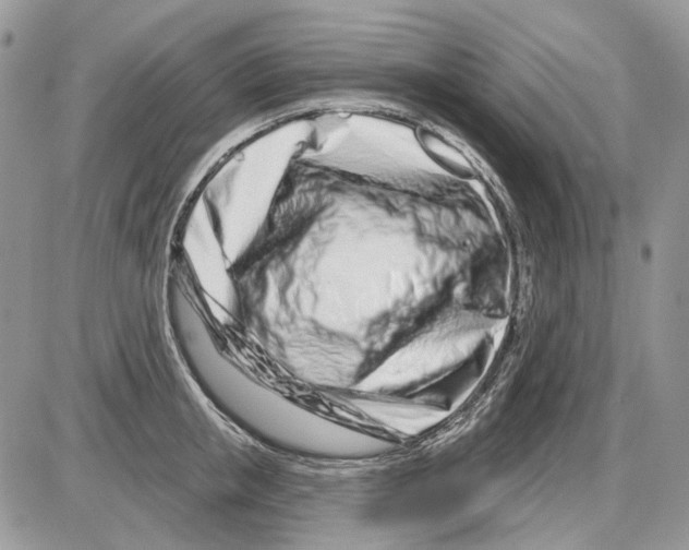 X0000086100853200704202239