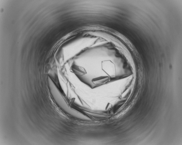X0000086100857200704202239