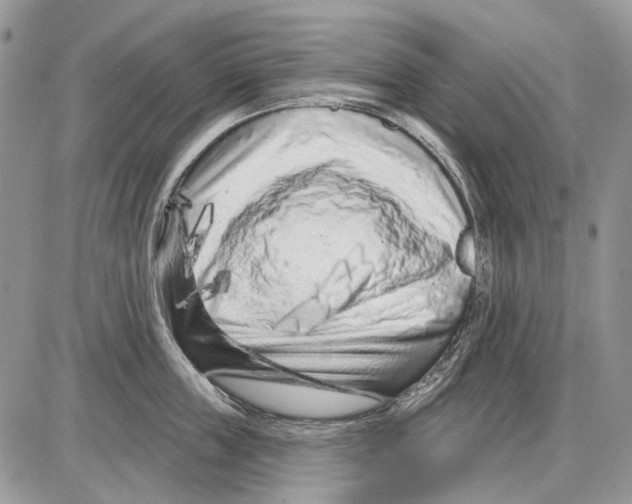 X0000086100859200704202239