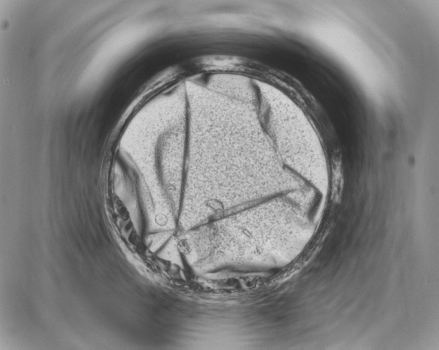 X0000086100861200704202239