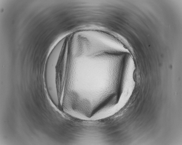 X0000086100863200704202239