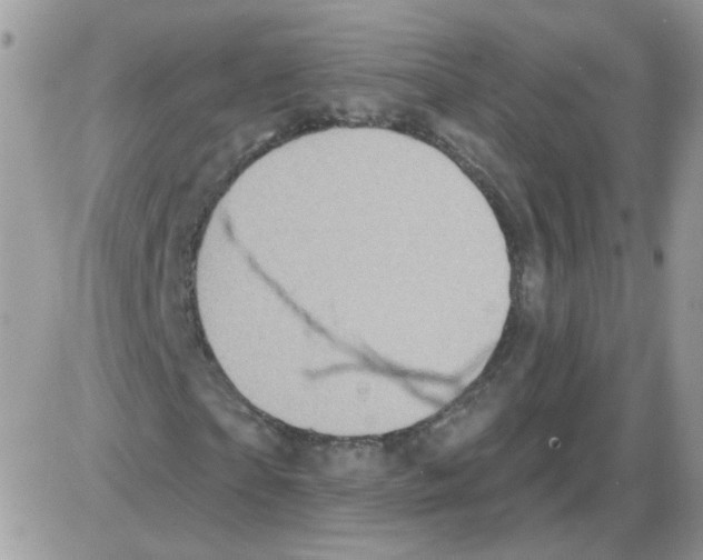 X0000086100865200704202238