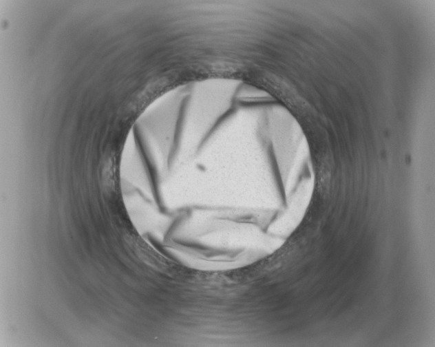 X0000086100866200704202238