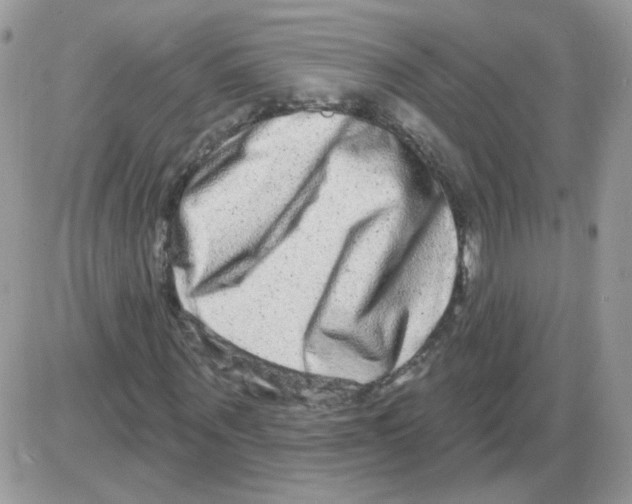 X0000086100867200704202238