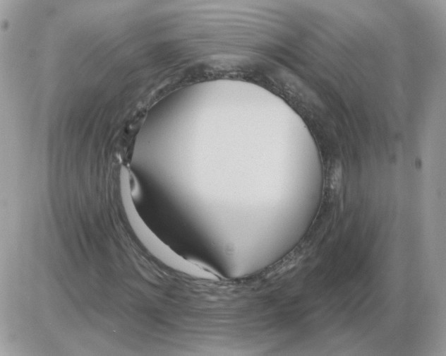 X0000086100868200704202238