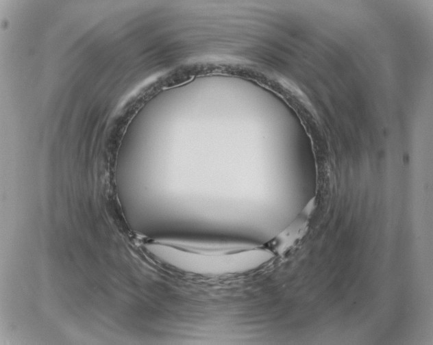 X0000086100872200704202238