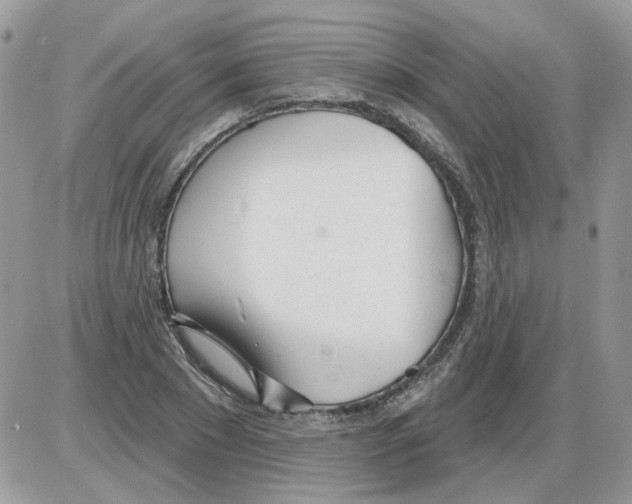 X0000086100881200704202238