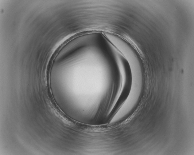 X0000086100884200704202238