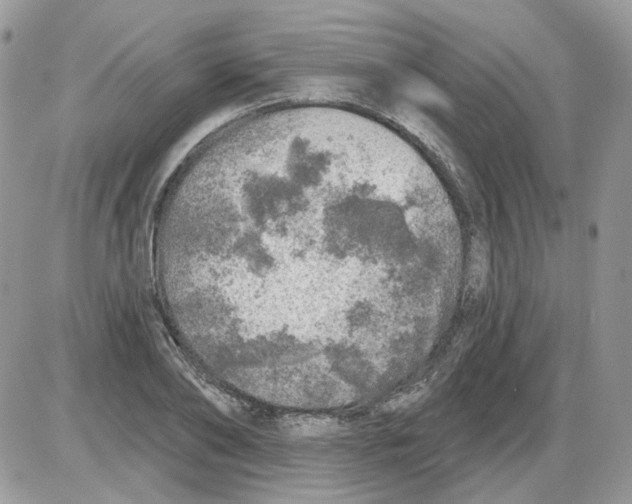 X0000086100886200704202238