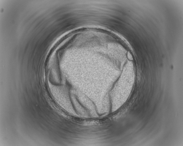 X0000086100887200704202238
