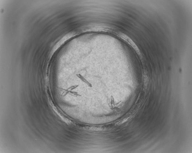 X0000086100890200704202238