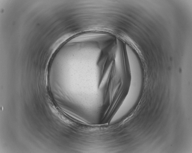 X0000086100892200704202238