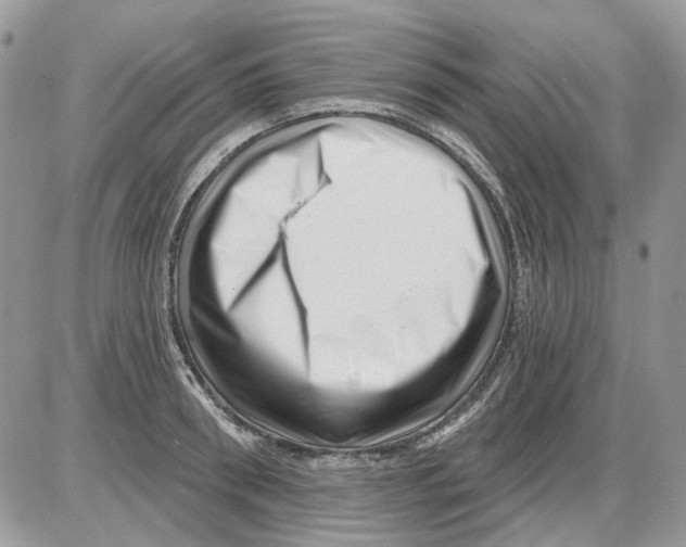 X0000086100898200704202238