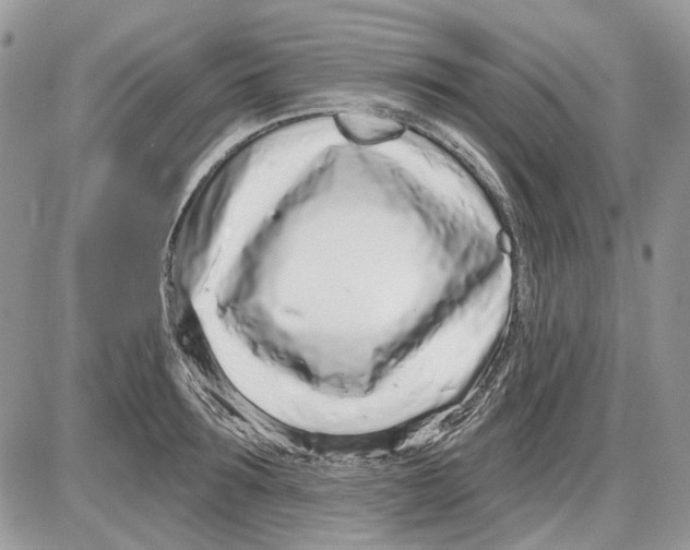 X0000086100899200704202238