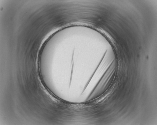 X0000086100902200704202238