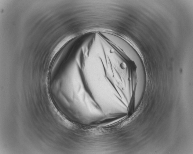 X0000086100906200704202238