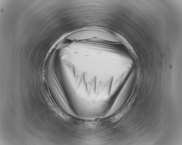 X0000086100908200704202238