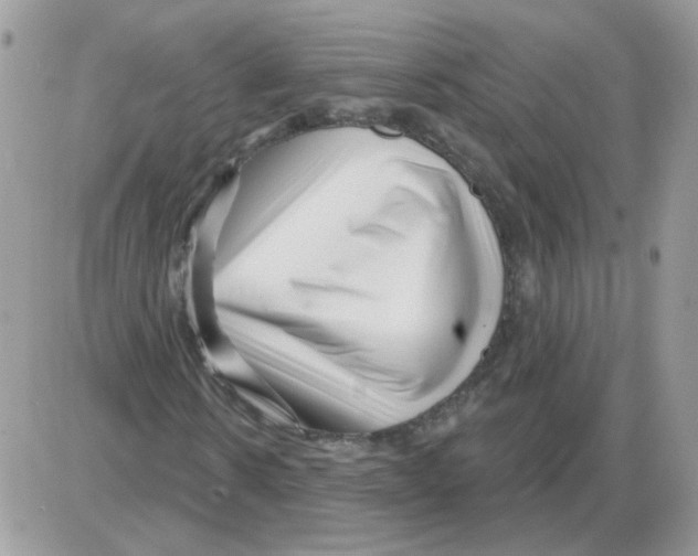 X0000086100914200704202237