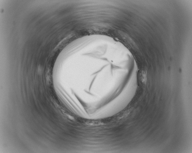 X0000086100915200704202237