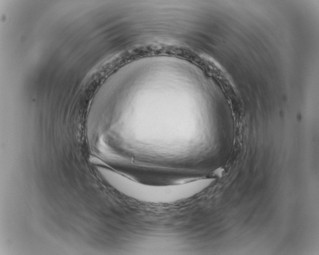 X0000086100919200704202237