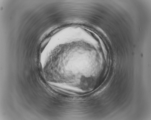 X0000086100922200704202237