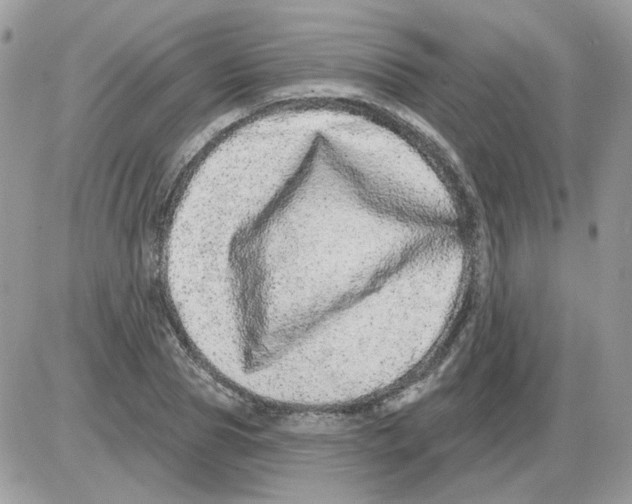 X0000086100929200704202237