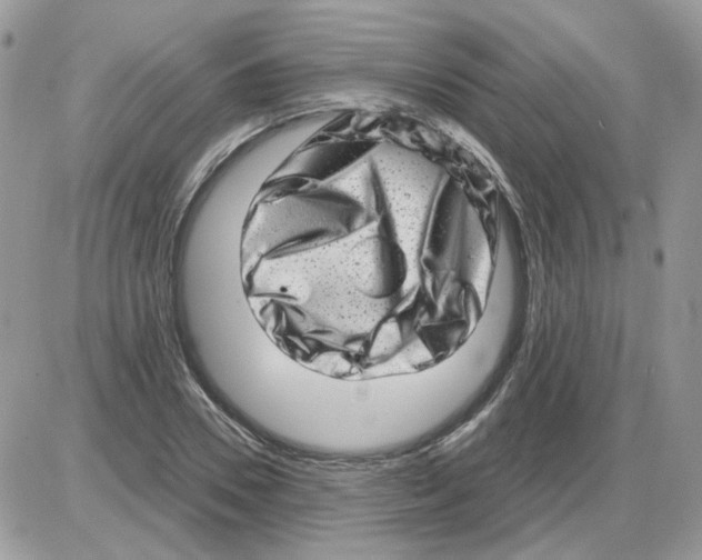 X0000086100930200704202237
