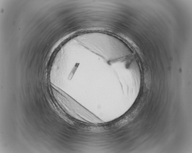X0000086100933200704202237