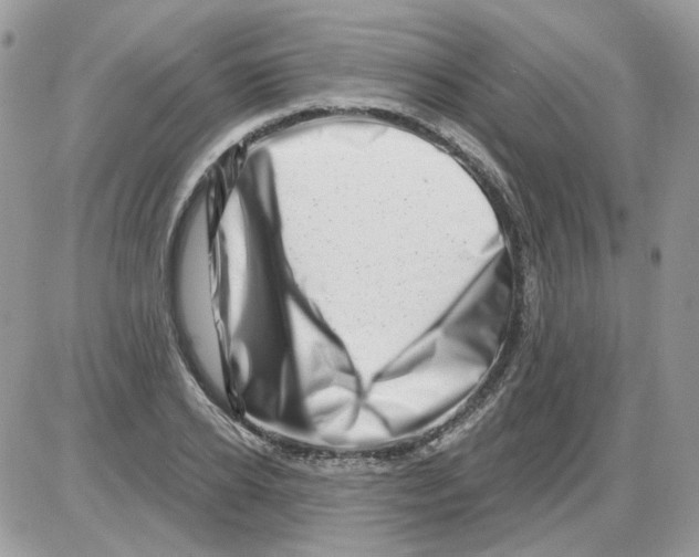 X0000086100934200704202237