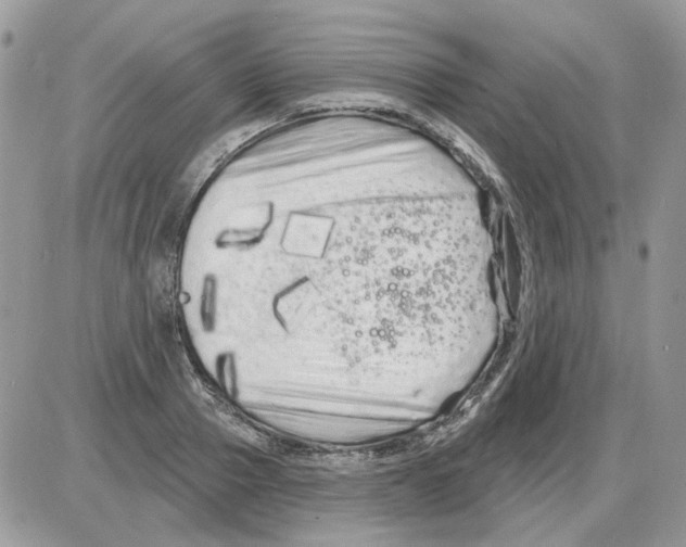 X0000086100937200704202237