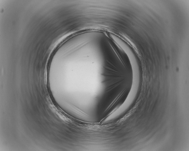 X0000086100940200704202237