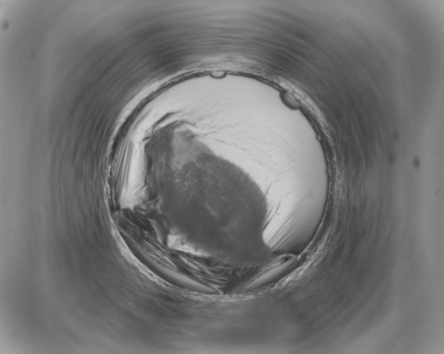 X0000086100941200704202237