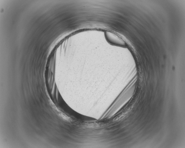 X0000086100943200704202237