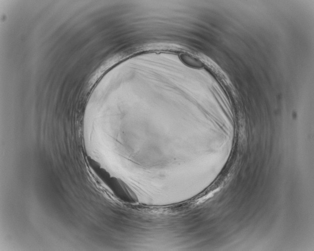 X0000086100945200704202237
