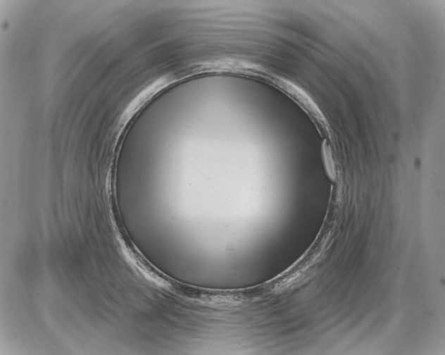 X0000086100946200704202237