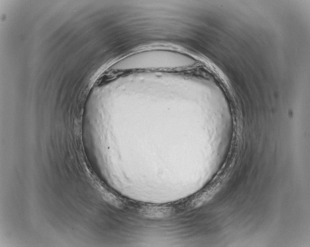 X0000086100953200704202238