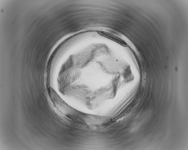 X0000086100955200704202238