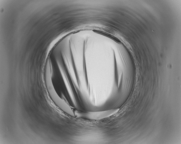 X0000086100960200704202238