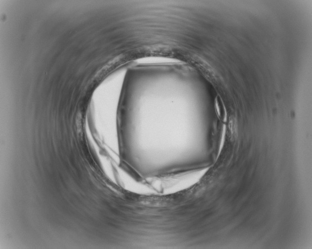 X0000086100963200704202237