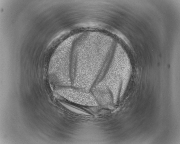 X0000086100967200704202237