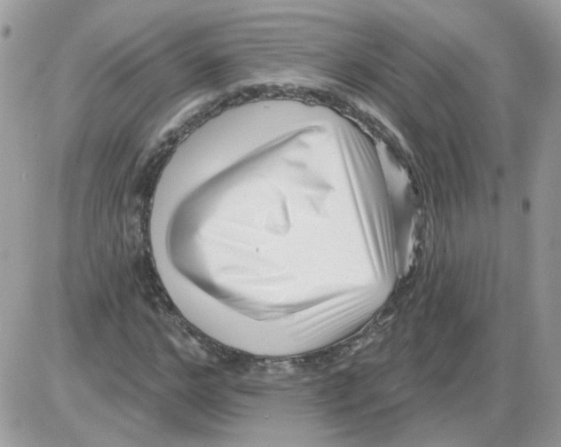 X0000086100968200704202237