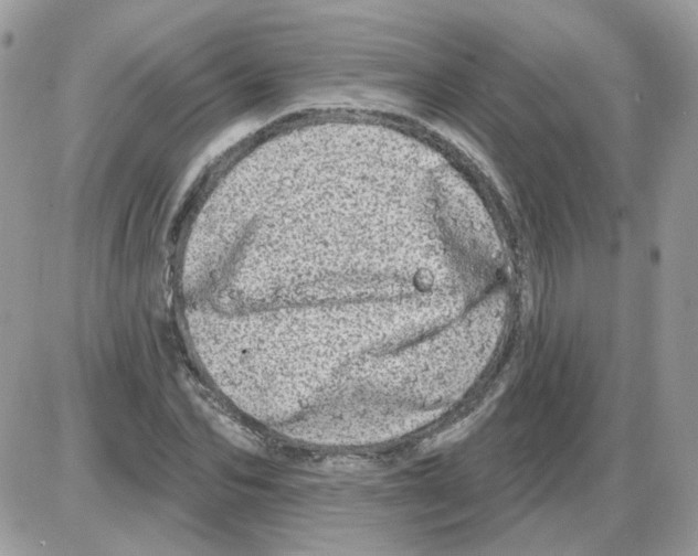 X0000086100974200704202237