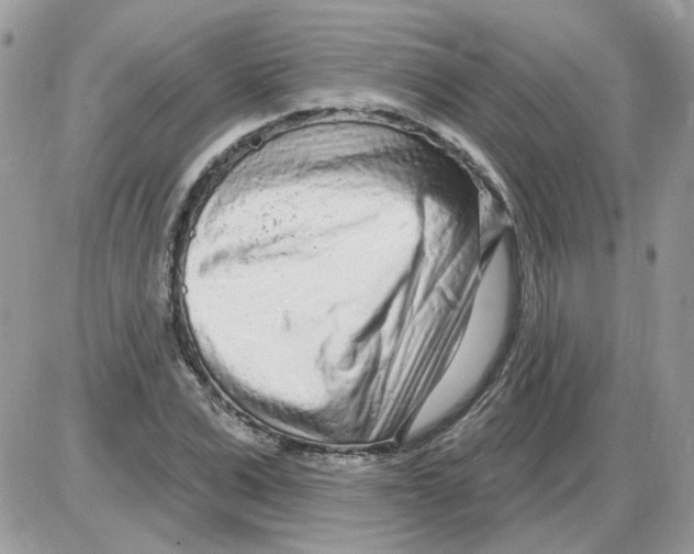 X0000086100975200704202237