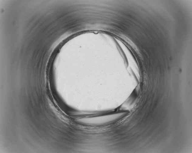 X0000086100980200704202237