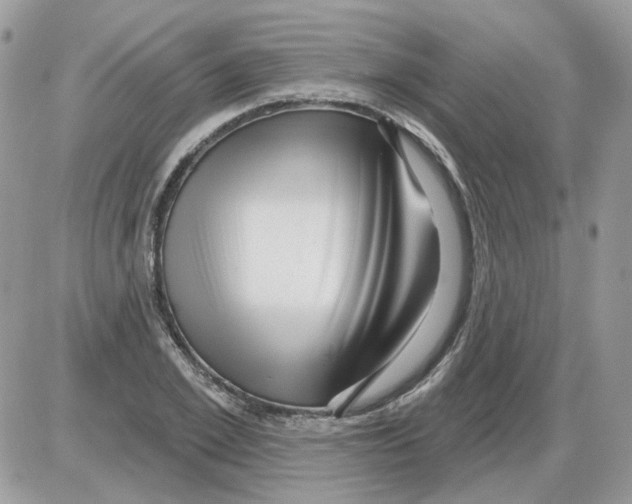 X0000086100981200704202237