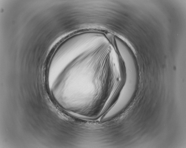 X0000086100983200704202237