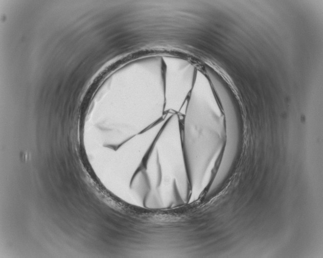 X0000086100984200704202237
