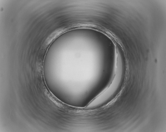 X0000086100985200704202237