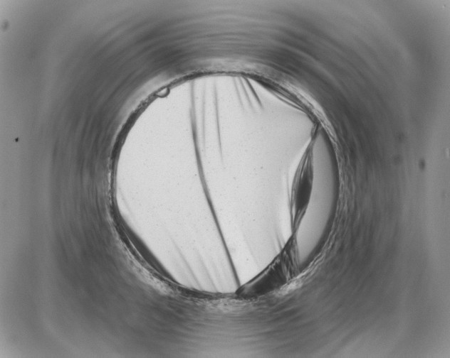 X0000086100992200704202236
