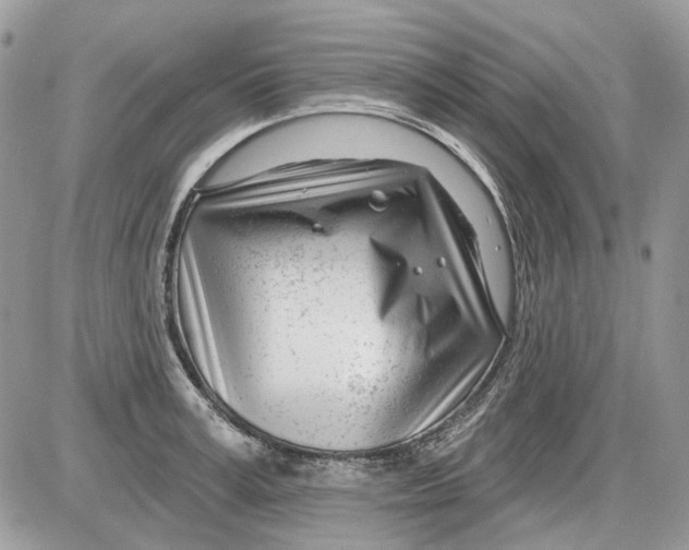 X0000086100995200704202236
